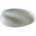 Crab plover