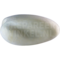Krabplevier (Dromas ardeola)