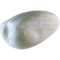 Crab plover (Dromas ardeola)