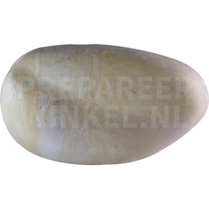 Kalifasan (Lophura leucomelanos)