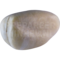 Kalifasan (Lophura leucomelanos)