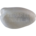 Molukse kaketoe