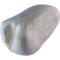 Salmon-crested cockatoo (Cacatua moluccensis)