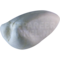 Große Raubmöwe (Stercorarius skua)