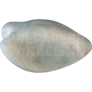Rotkehl-Zwergpapagei (Psittaculirostris edwardsii)