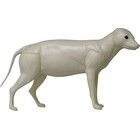 Marderhund (Art. G-MH1-x)