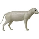 Wasbeerhond (Art. G-MH1-x)
