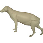 Wasbeerhond (Art. G-MH3-Lx)