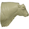 Schottische Hochlandrind (Bos taurus)