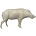 Wild boar (Art. G-W6-R-x)