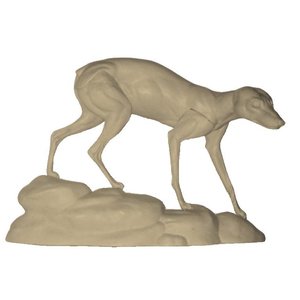 Vos (Vulpes vulpes)