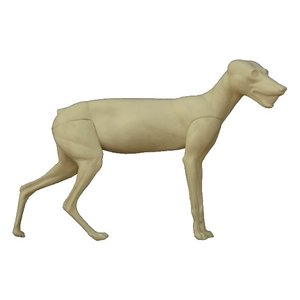 Rotfuchs (Vulpes vulpes)