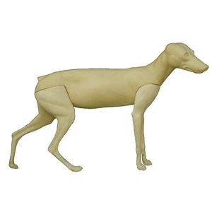 Rotfuchs (Vulpes vulpes)