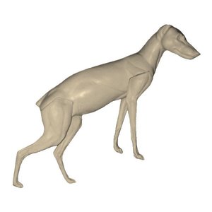 Rotfuchs (Vulpes vulpes)