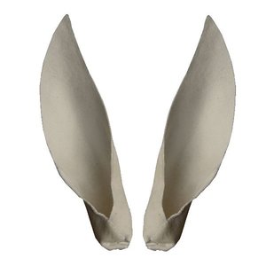 Gäms - Ohrverstärker