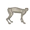 Luchs (Lynx lynx)