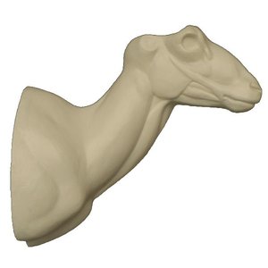 Mufflon (Ovis musimon)