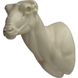 Mufflon (Ovis musimon)