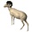 Mouflon (Art. G-M2-x)
