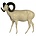 Mouflon (Art. G-M5-L)