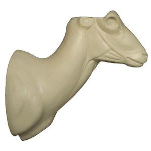 Mufflon (Ovis musimon)