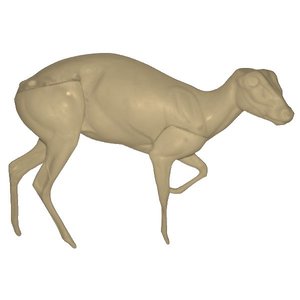 Muntjak (Muntjacus reevesi)