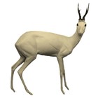 Roebuck (Art. G-R1-R)