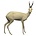 Roebuck (Art. G-R1-R)