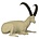 Alpine ibex (Art. G-AST3-R-LG)