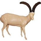 Spanisch ibex (Art. SO-G-SST4-R)