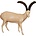 Spanisch ibex (Art. SO-G-SST4-R)