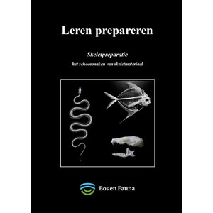 Skelett Präparation (Niederländisch)