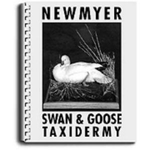 Swan and Goose Taxidermy by Frank Newmyer (english)