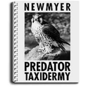Predator Taxidermy by Frank Newmyer(english)