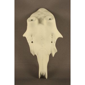 Artificial skull Roe buck