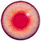 Albino - runder Pupille (Glas)