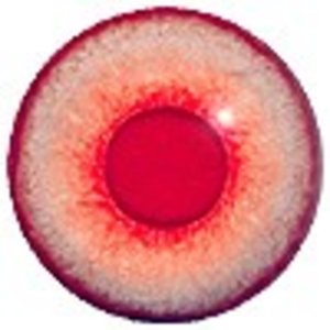 Albino - round pupil (glass)