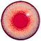 Albino - ronde pupil (glas)