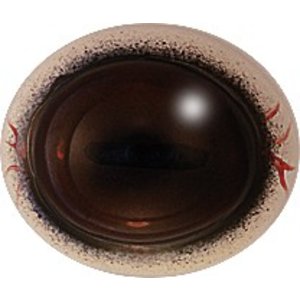 Gems (Rupicapra rupicapra)