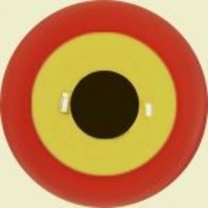 Bartgeier (Gypaetus barbatus)