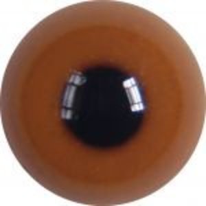 Red-breasted merganser (Mergus serrator)