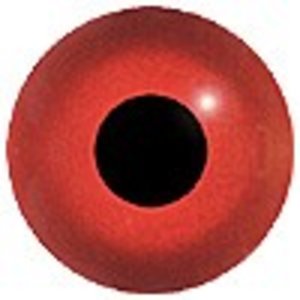 Rothuhn (Alectoris rufa)