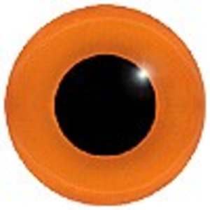 Zwergwachtel (Excalfactoria chinensis)