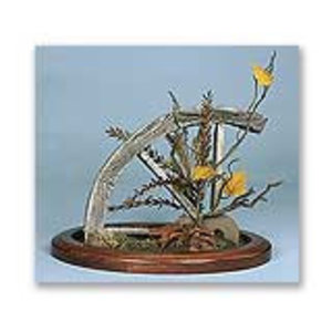 Habitat Wagon Wheel Autumn - Large