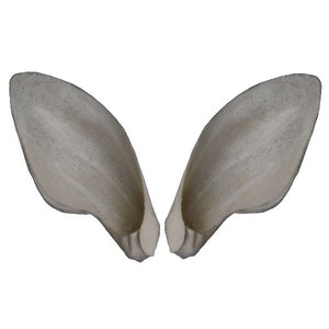 Steenbok (antelope) - earliners