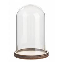 Campana de vidrio con estante de madera