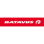 Fietsaccu voor uw Batavus e-bike