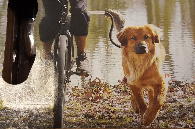 Hondenspiraalveer: voor schokvrij fietsen met hond -