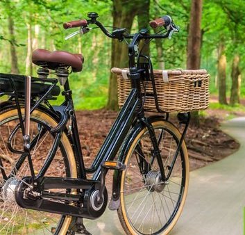 Toename verkoop e-bikes en accessoires zoals fietsaccu's laders elektrische fiets - Fietsparadijs.com