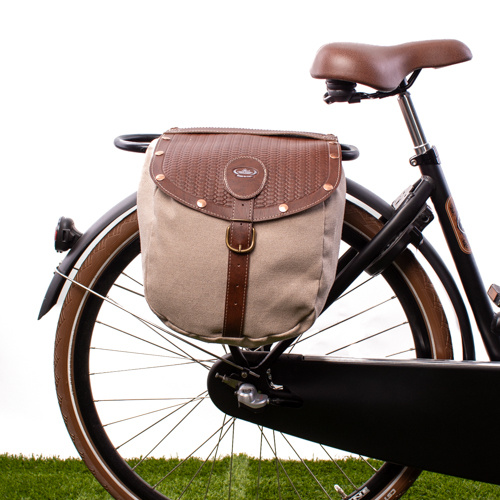 British Bisaccia Donkerbruin